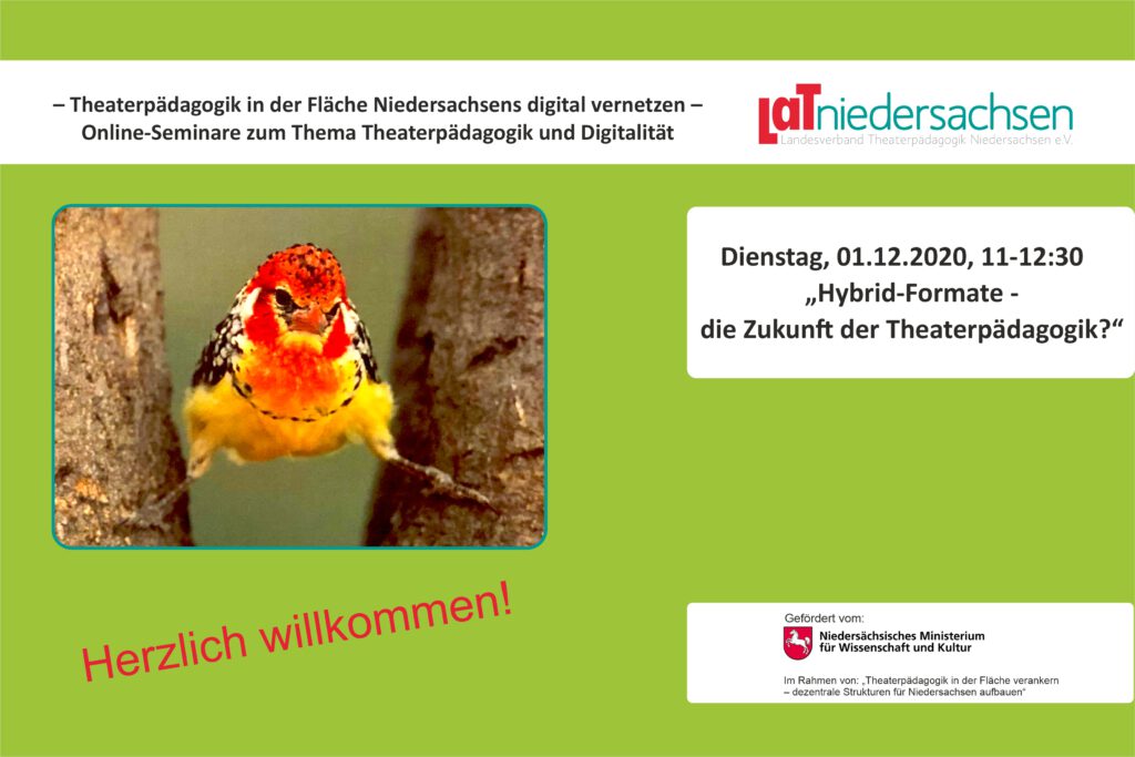 Online-Seminar „Hybrid-Formate – Die Zukunft der Theaterpädagogik?“, 1.12.2020