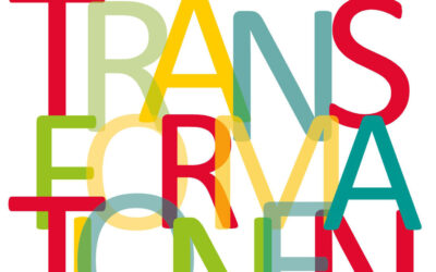 Projektmittel Transformationen 2026